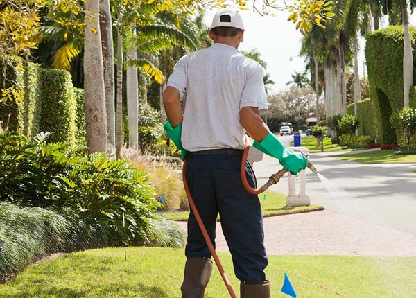 About Battle Creek MI Pest Control Pros